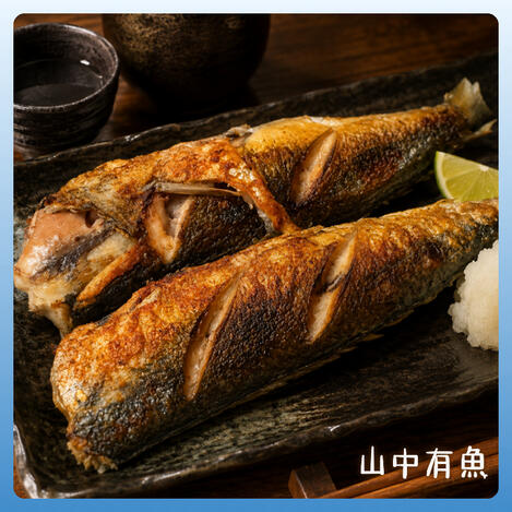 澎湖野生鯖魚
