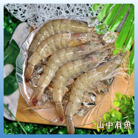 活凍甜白蝦