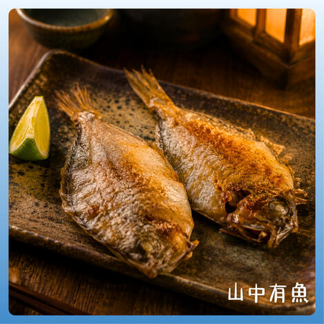 澎湖野生肉魚 (缺)